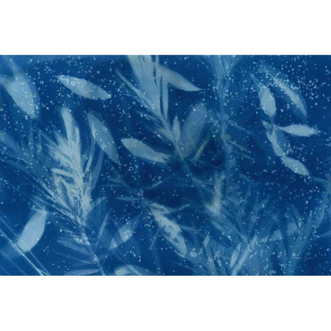 Cyanotype Tropical VII Black Modern Wood Framed Art Print with Double Matting by Green, Nancy