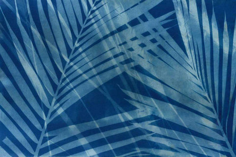 Cyanotype Tropical VIII White Modern Wood Framed Art Print with Double Matting by Green, Nancy