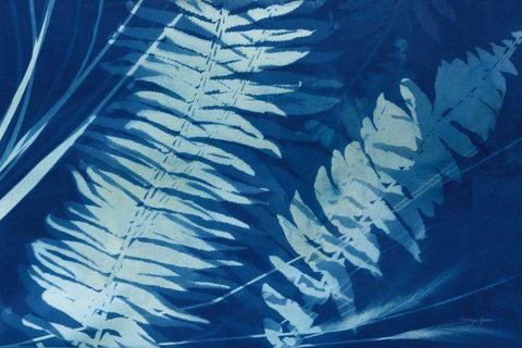 Cyanotype Tropical X Black Ornate Wood Framed Art Print with Double Matting by Green, Nancy