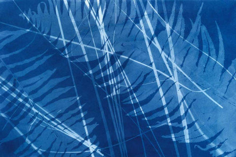 Cyanotype Tropical XI Black Ornate Wood Framed Art Print with Double Matting by Green, Nancy