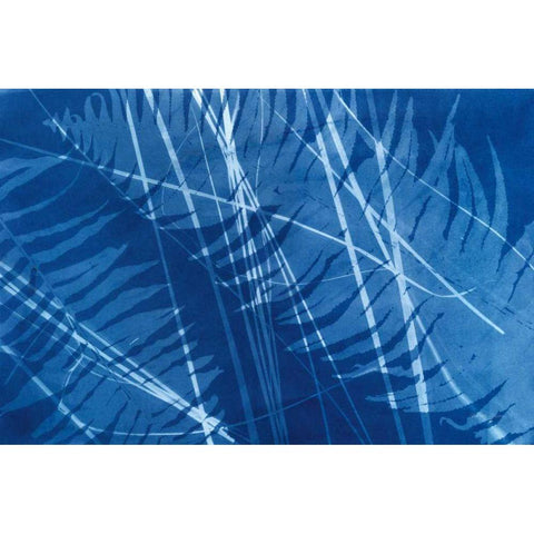 Cyanotype Tropical XI Black Modern Wood Framed Art Print by Green, Nancy