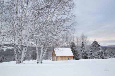 Barn with a View White Modern Wood Framed Art Print with Double Matting by Aledanda