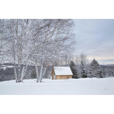 Barn with a View Gold Ornate Wood Framed Art Print with Double Matting by Aledanda