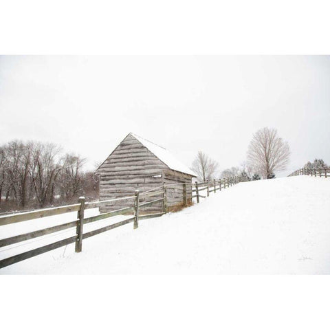 Fenced In White Modern Wood Framed Art Print by Aledanda