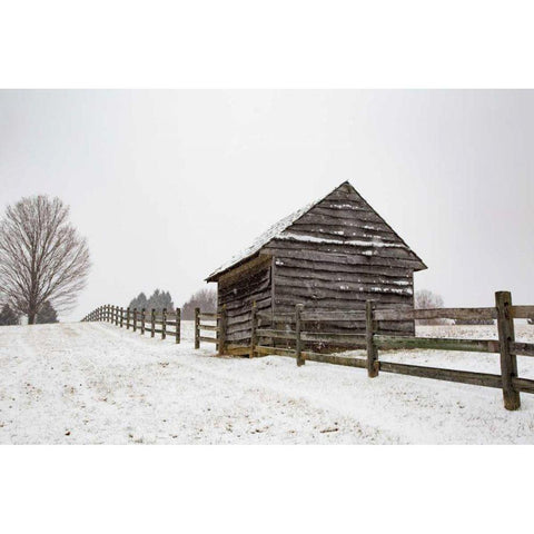 Coming to the Barn White Modern Wood Framed Art Print by Aledanda