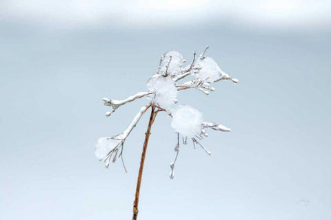 Diamonds in Winter I White Modern Wood Framed Art Print with Double Matting by Bradley, Felicity