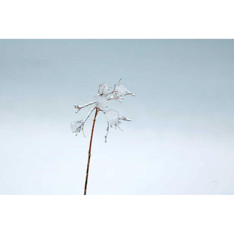 Diamonds in Winter II Gold Ornate Wood Framed Art Print with Double Matting by Bradley, Felicity