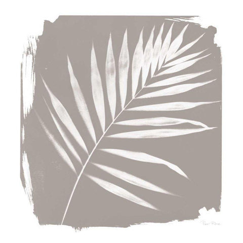 Nature By The Lake - Frond II Sq White Modern Wood Framed Art Print with Double Matting by Rhue, Piper