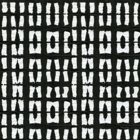 Aquarelle Black and White XII Black Modern Wood Framed Art Print by Green, Nancy