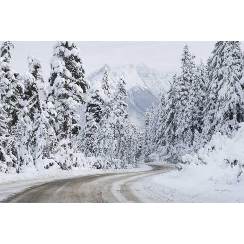 Mount Baker Highway I Black Modern Wood Framed Art Print with Double Matting by Majchrowicz, Alan