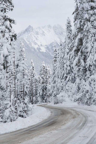 Mount Baker Highway II White Modern Wood Framed Art Print with Double Matting by Majchrowicz, Alan