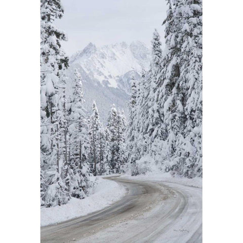 Mount Baker Highway II Black Modern Wood Framed Art Print by Majchrowicz, Alan