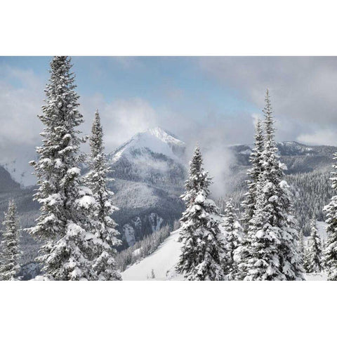 North Cascades in Winter I Black Modern Wood Framed Art Print with Double Matting by Majchrowicz, Alan
