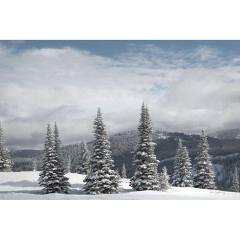 North Cascades in Winter II Black Modern Wood Framed Art Print with Double Matting by Majchrowicz, Alan