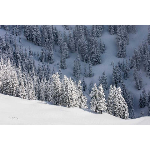 North Cascades in Winter III Black Modern Wood Framed Art Print with Double Matting by Majchrowicz, Alan