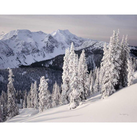 Cariboo Mountains Black Modern Wood Framed Art Print with Double Matting by Majchrowicz, Alan