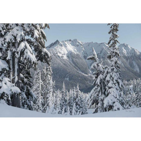 Nooksack Ridge in Winter White Modern Wood Framed Art Print by Majchrowicz, Alan