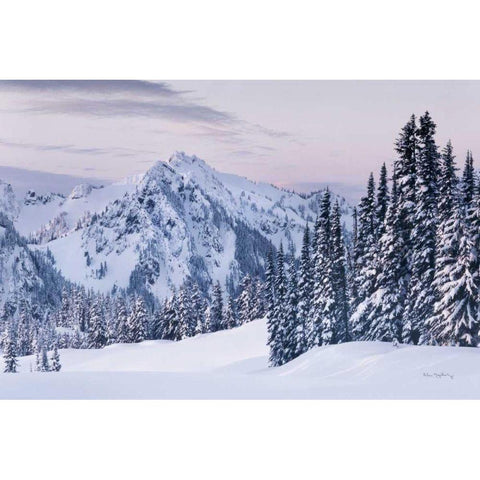 Tatoosh Range Black Modern Wood Framed Art Print by Majchrowicz, Alan