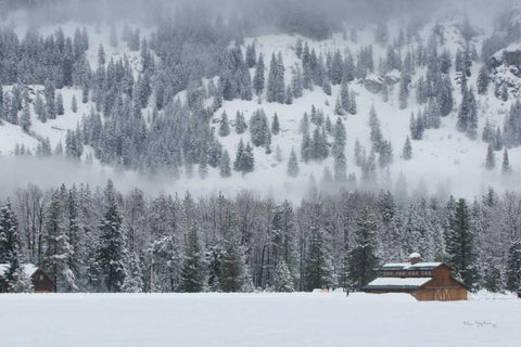 Methow Valley Barn Black Ornate Wood Framed Art Print with Double Matting by Majchrowicz, Alan