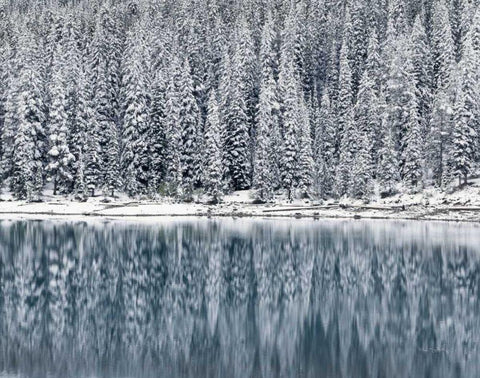Winter Reflections White Modern Wood Framed Art Print with Double Matting by Majchrowicz, Alan