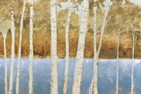 Lakeside Birches White Modern Wood Framed Art Print with Double Matting by Wiens, James