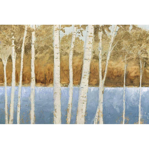 Lakeside Birches White Modern Wood Framed Art Print by Wiens, James