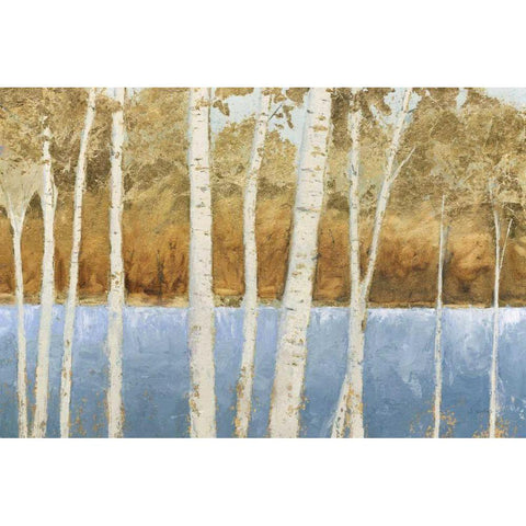 Lakeside Birches Black Modern Wood Framed Art Print by Wiens, James