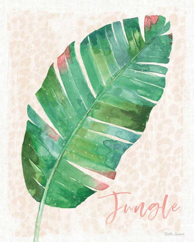 From the Jungle X White Modern Wood Framed Art Print with Double Matting by Grove, Beth