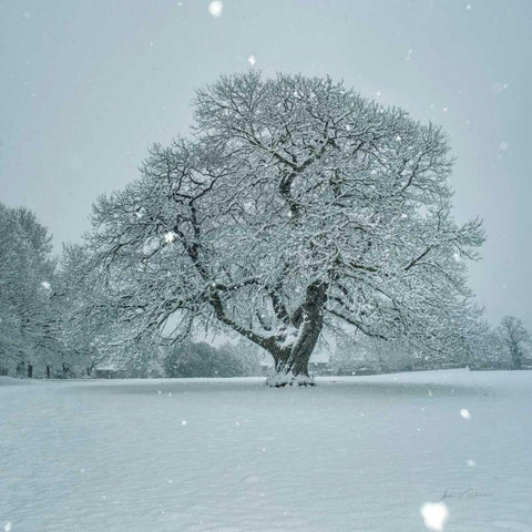 Winter Landscape III Black Modern Wood Framed Art Print with Double Matting by Eichman, Andre