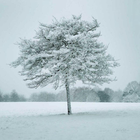 Winter Landscape IV Black Modern Wood Framed Art Print by Eichman, Andre