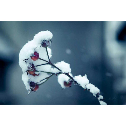 Light and Fluffy Black Modern Wood Framed Art Print by Eichman, Andre