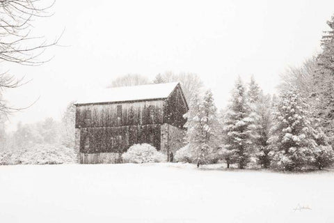 First Snow BW Crop Black Ornate Wood Framed Art Print with Double Matting by Aledanda