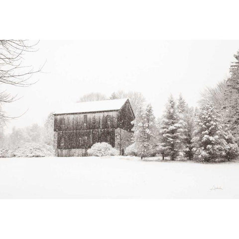 First Snow BW Crop White Modern Wood Framed Art Print by Aledanda