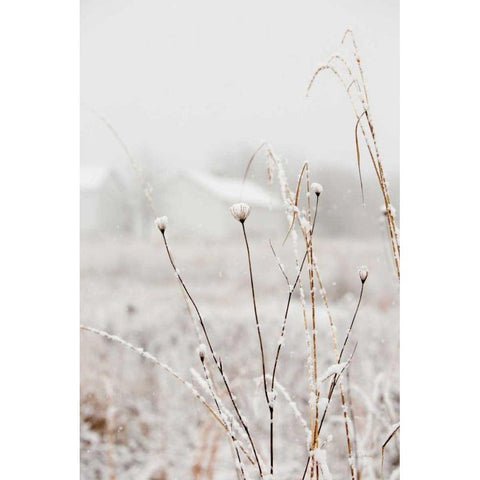 Early Snow Gold Ornate Wood Framed Art Print with Double Matting by Aledanda