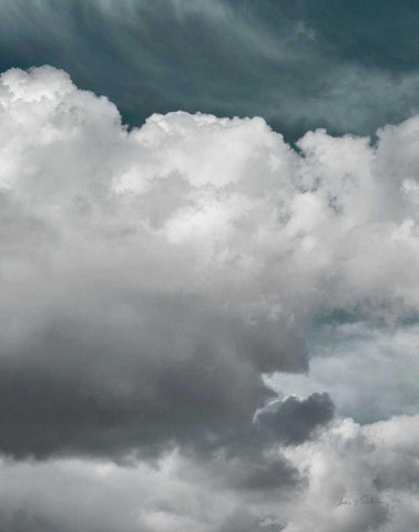 Clouds III Bright Crop I Black Ornate Wood Framed Art Print with Double Matting by Eichman, Andre