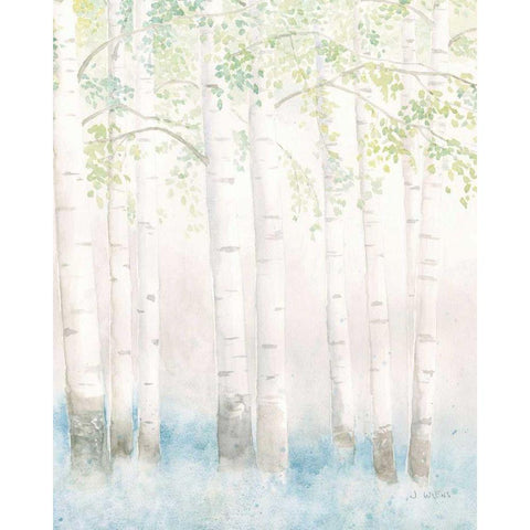 Soft Birches III Black Modern Wood Framed Art Print with Double Matting by Wiens, James