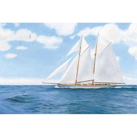 Majestic Sailboat White Sails Black Modern Wood Framed Art Print with Double Matting by Wiens, James