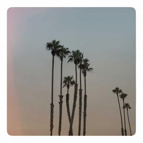 California Dreams II White Modern Wood Framed Art Print by Eichman, Andre