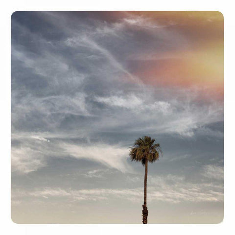 Sunny California Dreams Black Modern Wood Framed Art Print with Double Matting by Eichman, Andre