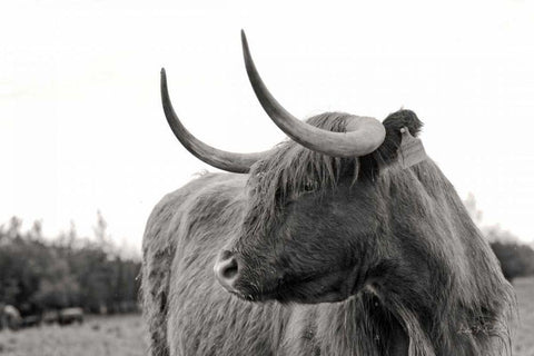 On the Ranch I Black Ornate Wood Framed Art Print with Double Matting by Eichman, Andre