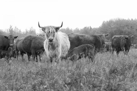 On the Ranch III Black Ornate Wood Framed Art Print with Double Matting by Eichman, Andre