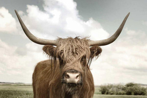 On the Ranch IV Black Ornate Wood Framed Art Print with Double Matting by Eichman, Andre