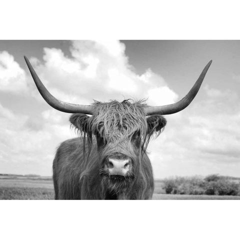 On the Ranch IV BW Gold Ornate Wood Framed Art Print with Double Matting by Eichman, Andre