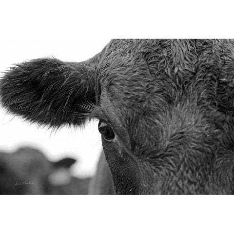 On the Ranch V White Modern Wood Framed Art Print by Eichman, Andre