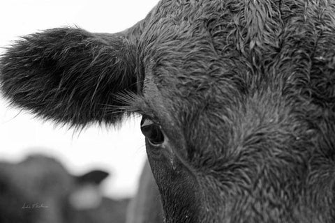 On the Ranch V Black Ornate Wood Framed Art Print with Double Matting by Eichman, Andre