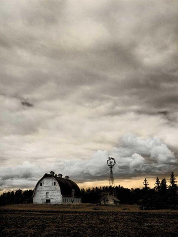 At Dusk on the Ranch White Modern Wood Framed Art Print with Double Matting by Eichman, Andre