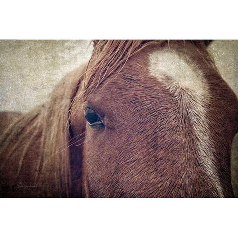 Dew Lashes White Modern Wood Framed Art Print by Van Swearingen, Debra