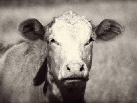 Pretty Girl Black Ornate Wood Framed Art Print with Double Matting by Van Swearingen, Debra