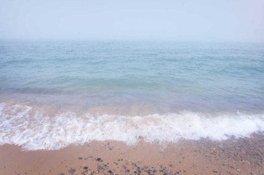 Image Only