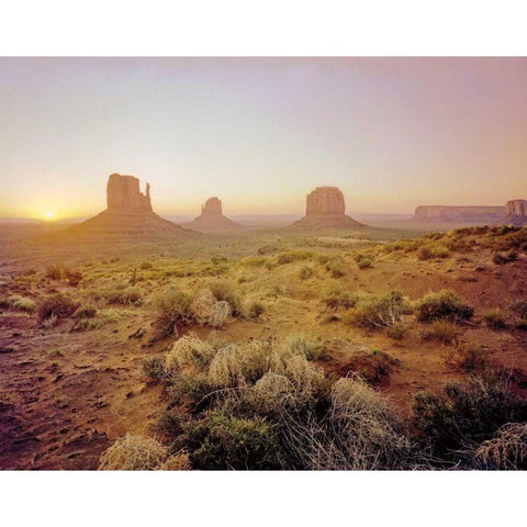 Dawn in the Desert White Modern Wood Framed Art Print by Goldstein, Ed